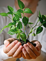 Low carbon – what’s in it for business?