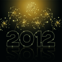 Setting realistic 2012 business goals