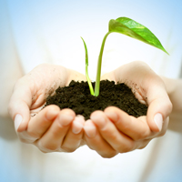 SMBs experiencing growth, despite troubled economic conditions