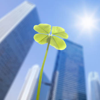 5 ways to help your business evolve – and survive