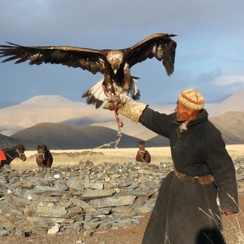 6 unexpected business lessons from Mongolia