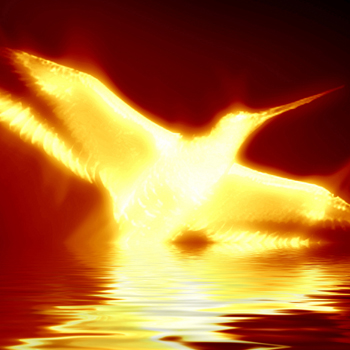 What to do if you fall victim to phoenixing