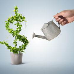 How to scale your lean start-up