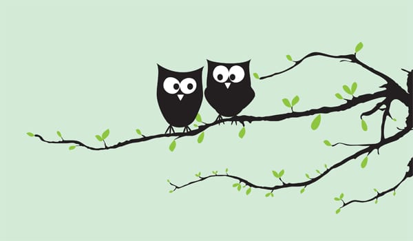 How to manage your social media with Hootsuite