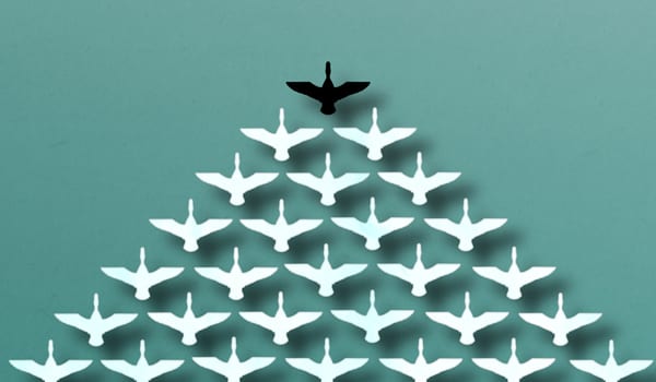 5 ways to be a better leader online