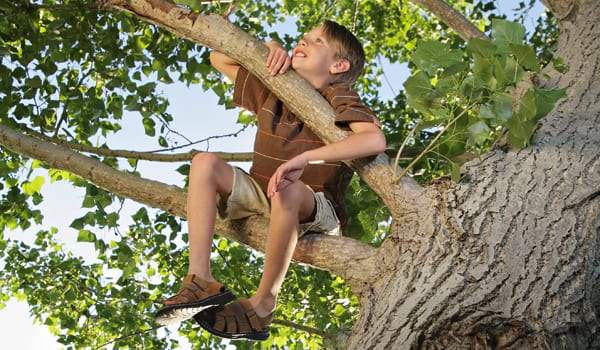 Adventure business branches out