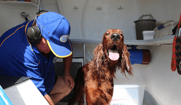 App keeps franchisees out of the dog house