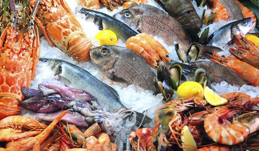 Australian seafood industry to benefit from FTA