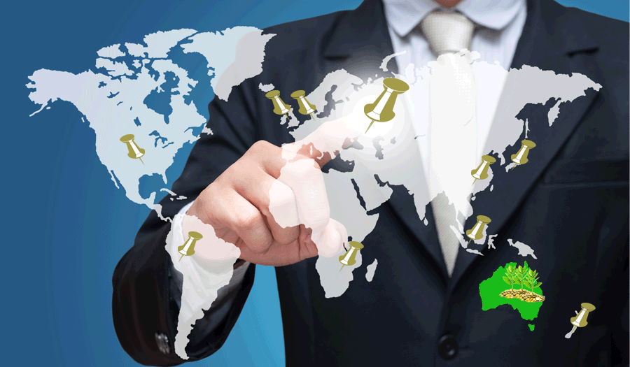 Support for Australian SMEs looking to grow internationally