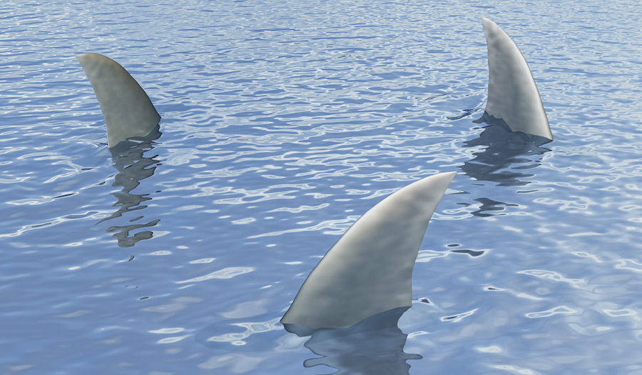 5 Investment lessons from the TV show Shark Tank