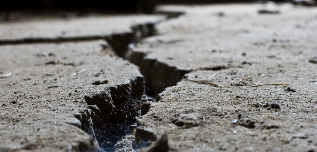 Step back and see the cracks in your business