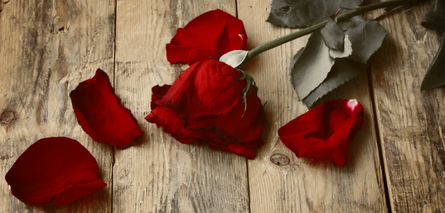 Flower sales for Valentine’s lag Mother’s Day