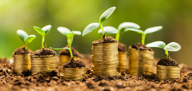 Strong venture capital growth prompts call for greater investment by local super sector