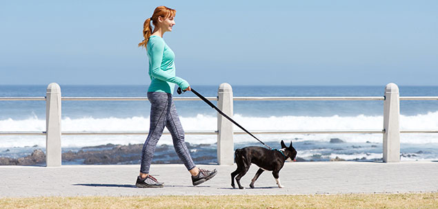 Oh Crap: the SMB using social media to turn dog poop into sales