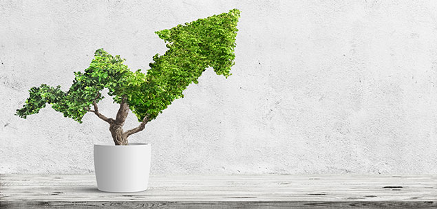 Financing business growth through equity