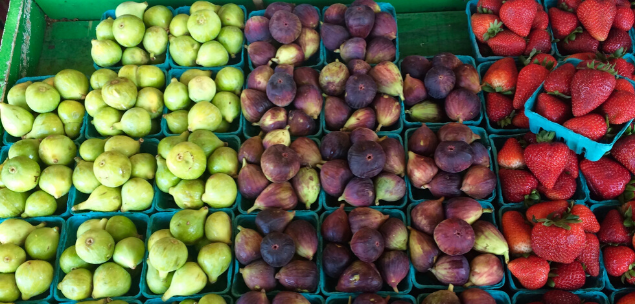 Sydney wholesale startup FoodByUs pivots to B2C due to coronavirus