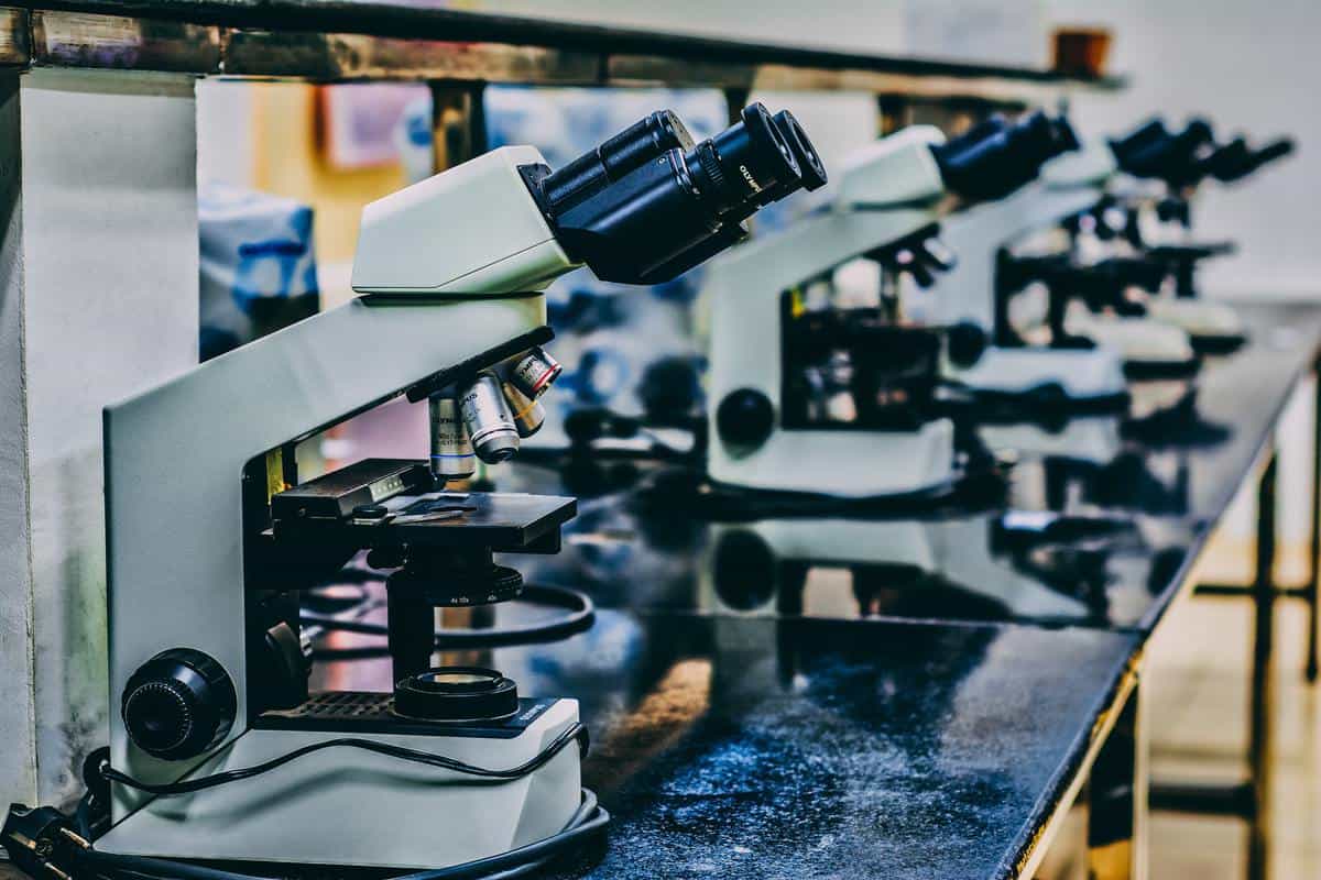 NSW Government launches R&D action plan