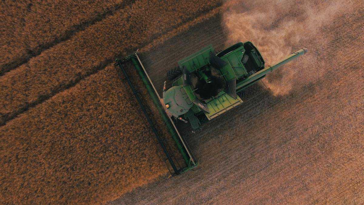 Hope for 2021 harvest: Federal Government Ag visas