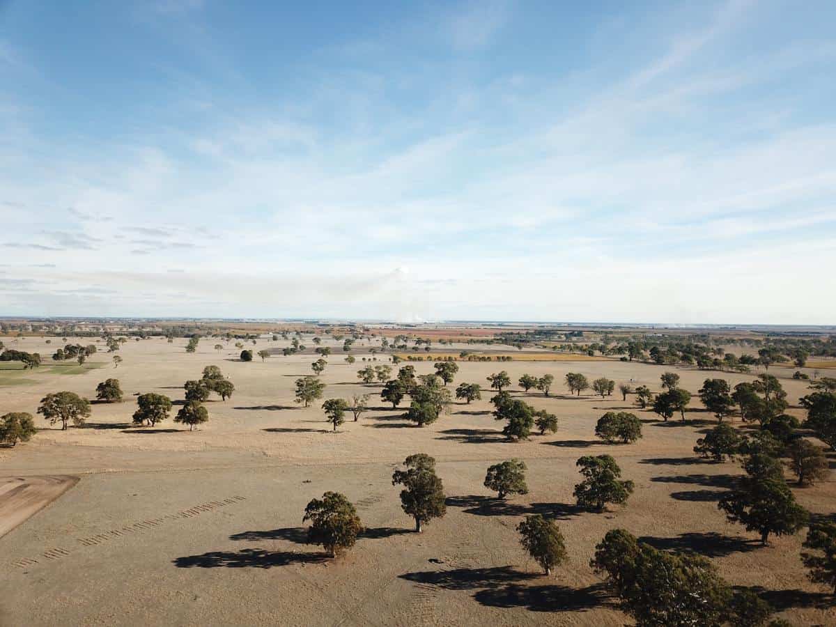 Carbon capture opportunity for Australian farmers