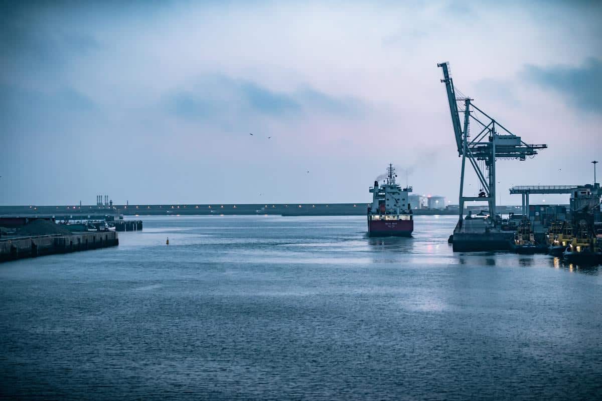 Let’s Talk: Should 2022 be the year to start exporting?