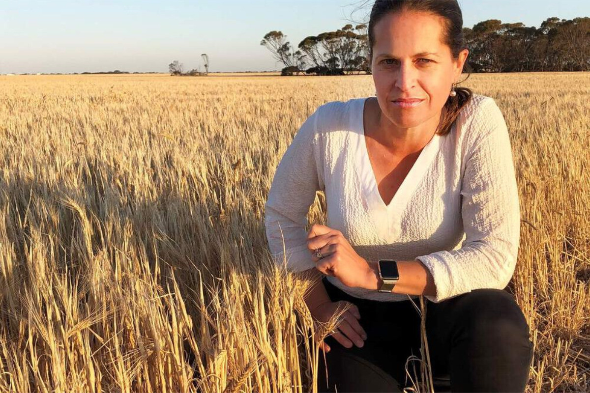 Here comes the sun: Rabobank’s 2022 agriculture report