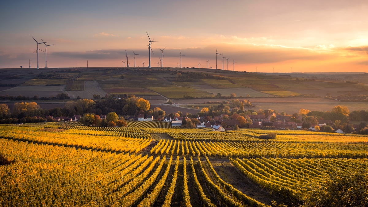 Australia invests in RegTech to save farmers and SMEs time and money