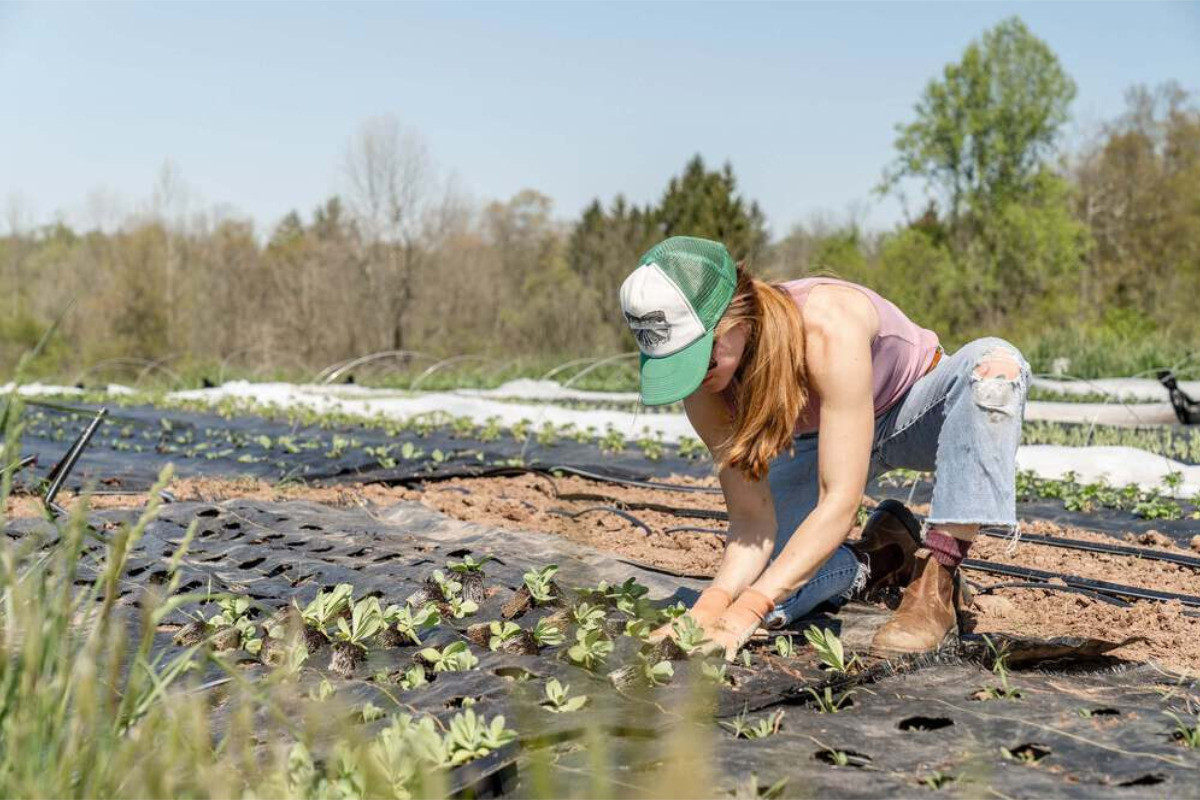 National Farmers Federation names its five key election demands