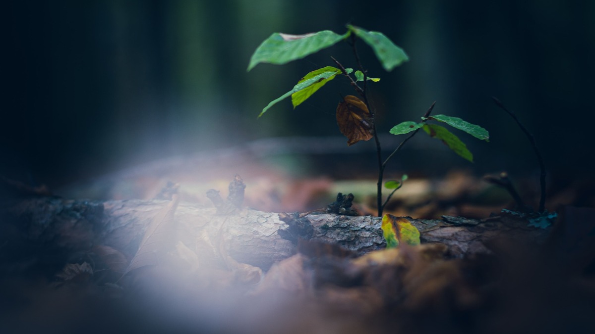 CBA launches Sustainability Action Tool for SMEs