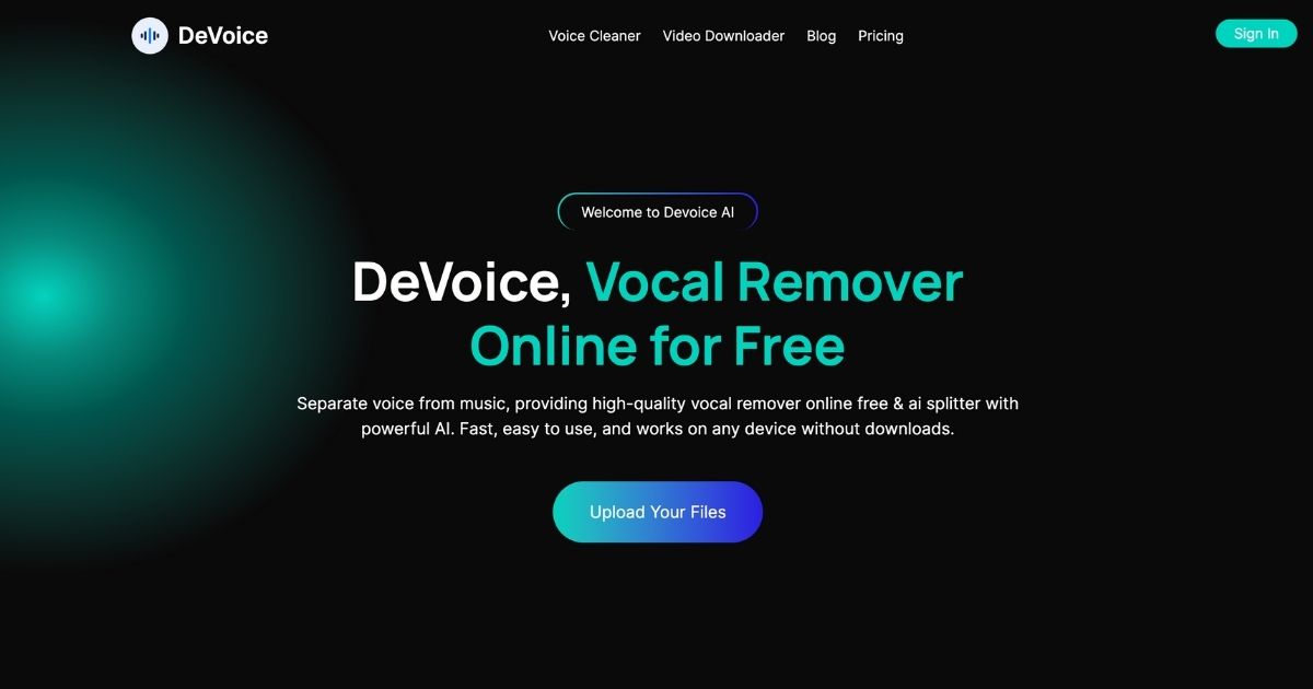 DeVoice: AI vocal remover