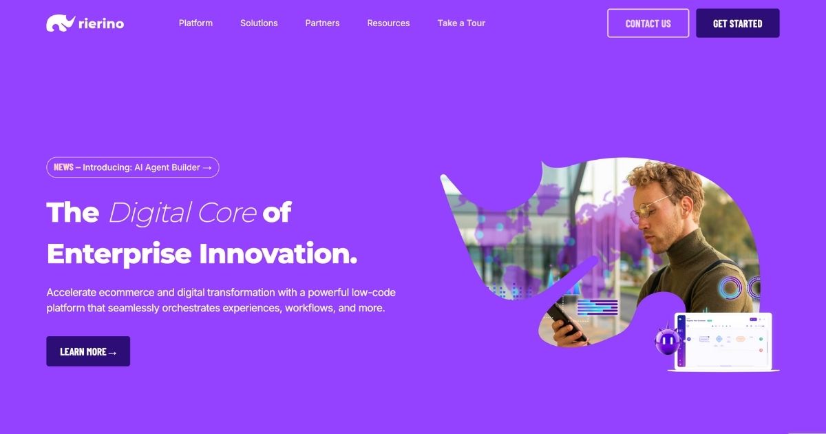 Rierino: Composable Low-Code Platform for Digital Innovation