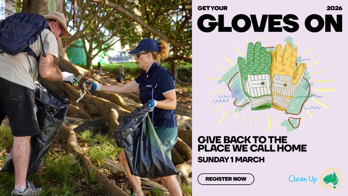 Clean Up Australia launches business push as litter crisis deepens across nation