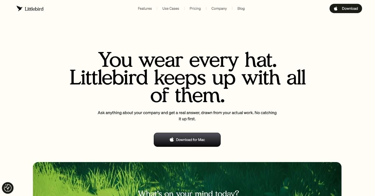 Littlebird: AI Assistant for Enhanced Productivity